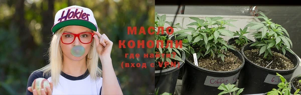 гашик Козельск