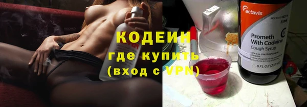 прущие грибы Костерёво