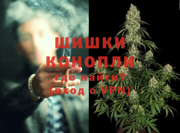прущие грибы Костерёво